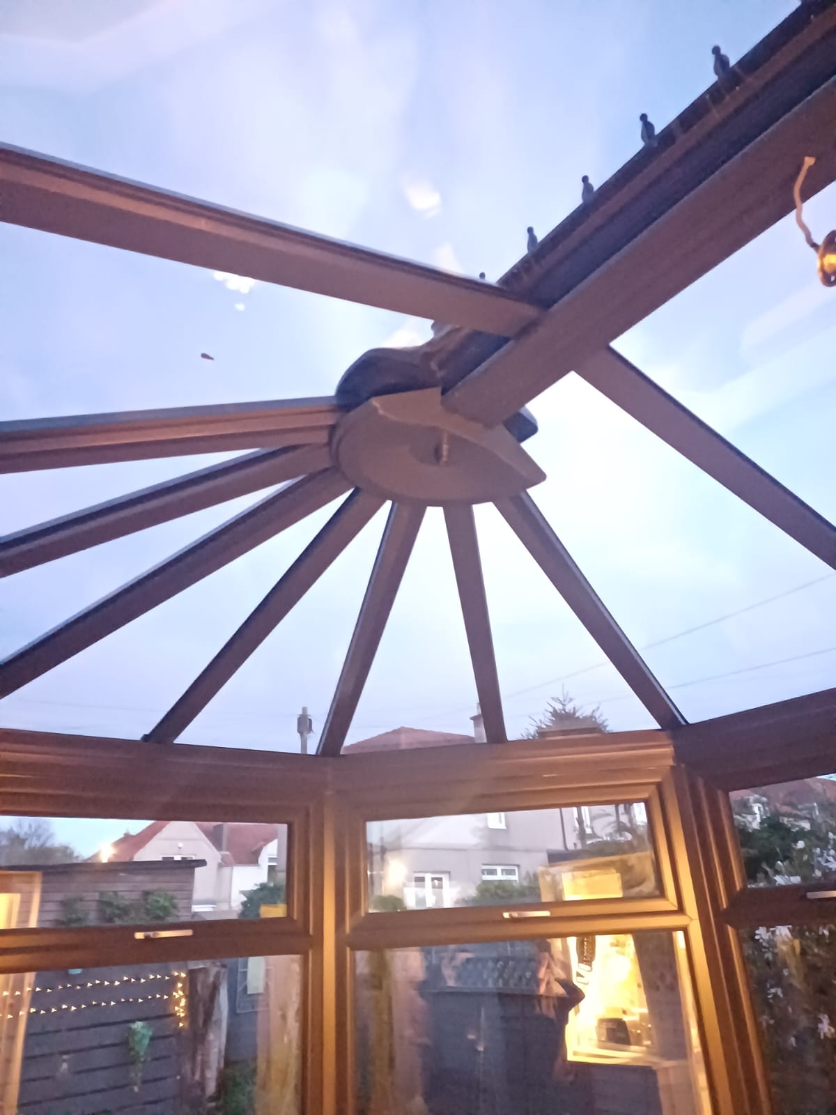 Arctic Conservatories (1)